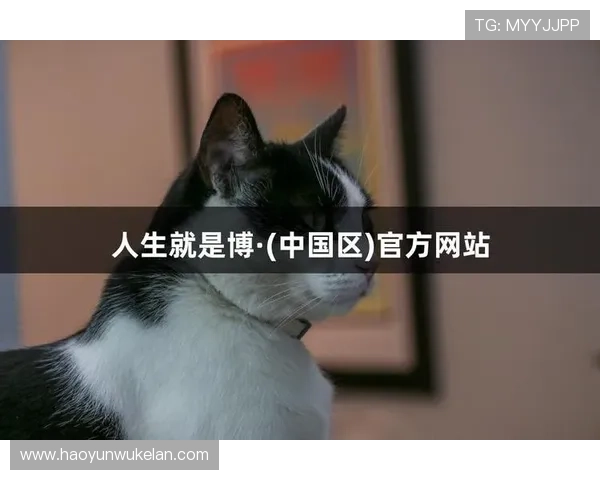 人生就是博尊龙凯时中国官网：如何在竞争中脱颖而出实现人生价值