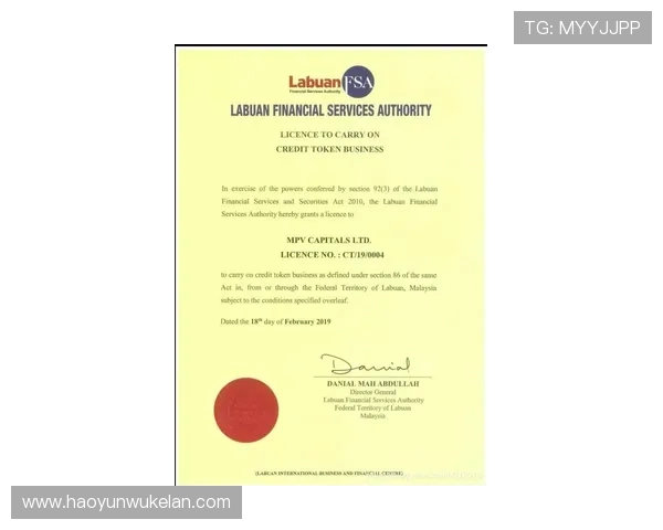 探秘尊龙备用的安全性与可靠性分析