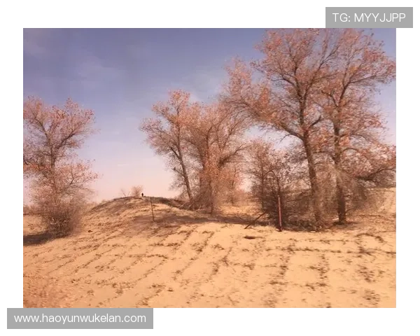 在d8娱乐官网进行充值提现的详细流程与安全保障措施介绍 在d8娱乐官网进行充值提现的详细流程与安全保障措施介绍