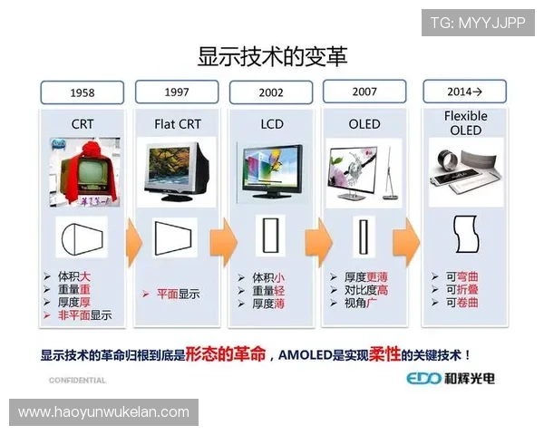 尊龙时凯中国集团的企业发展历程与未来战略分析